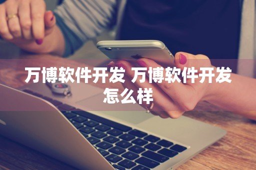 万博软件开发 万博软件开发怎么样