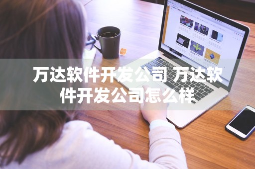 万达软件开发公司 万达软件开发公司怎么样