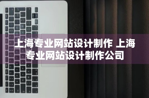 上海专业网站设计制作 上海专业网站设计制作公司