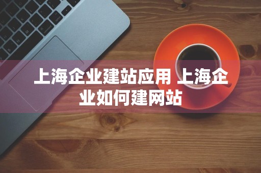 上海企业建站应用 上海企业如何建网站