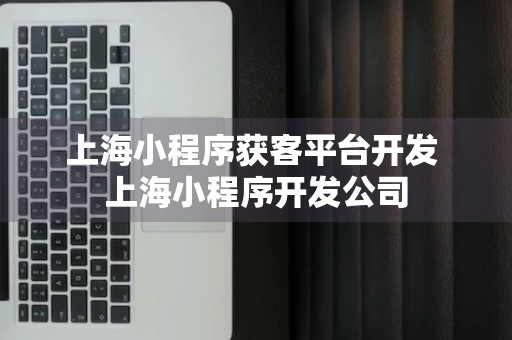 上海小程序获客平台开发 上海小程序开发公司