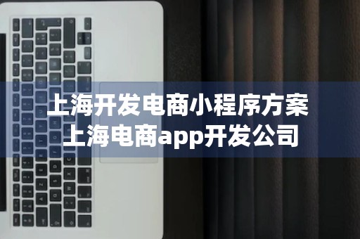 上海开发电商小程序方案 上海电商app开发公司