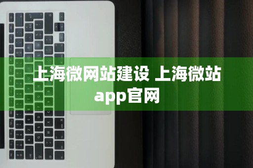 上海微网站建设 上海微站app官网