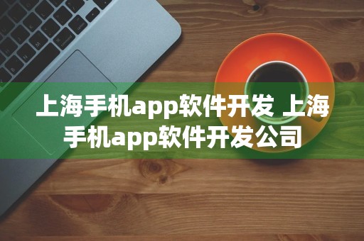 上海手机app软件开发 上海手机app软件开发公司