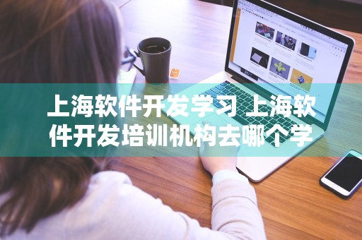 上海软件开发学习 上海软件开发培训机构去哪个学