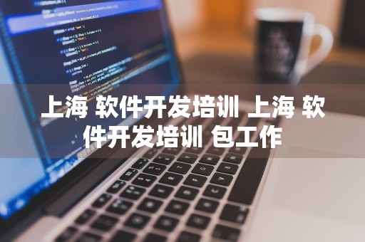 上海 软件开发培训 上海 软件开发培训 包工作