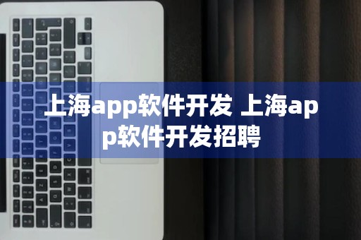 上海app软件开发 上海app软件开发招聘