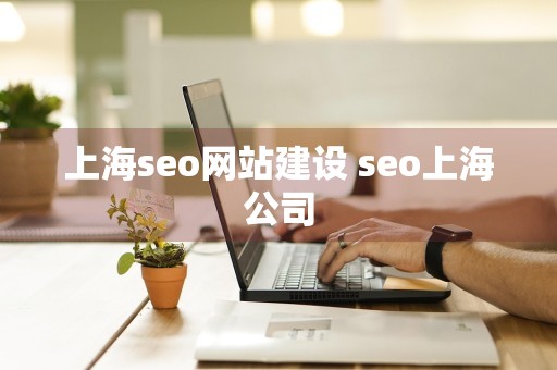 上海seo网站建设 seo上海公司