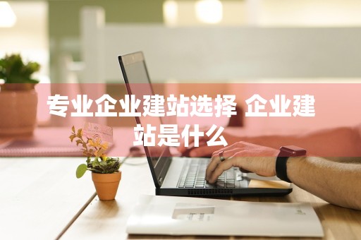 专业企业建站选择 企业建站是什么