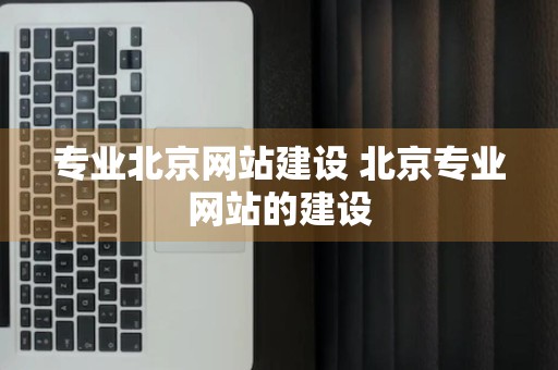 专业北京网站建设 北京专业网站的建设