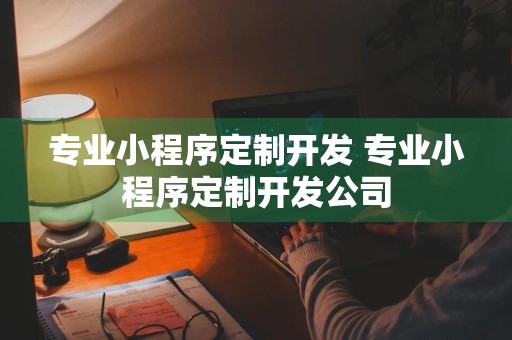 专业小程序定制开发 专业小程序定制开发公司