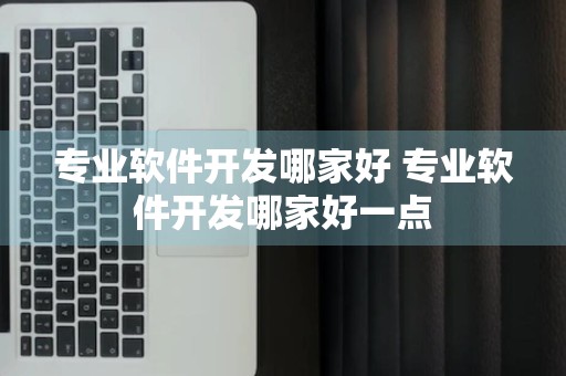 专业软件开发哪家好 专业软件开发哪家好一点