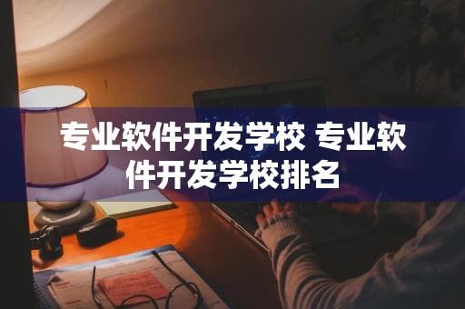 专业软件开发学校 专业软件开发学校排名