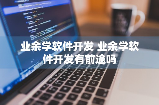 业余学软件开发 业余学软件开发有前途吗