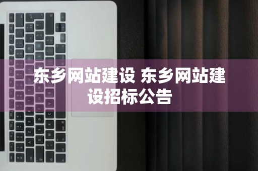 东乡网站建设 东乡网站建设招标公告