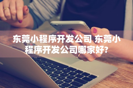 东莞小程序开发公司 东莞小程序开发公司哪家好?