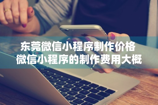 东莞微信小程序制作价格 微信小程序的制作费用大概多少