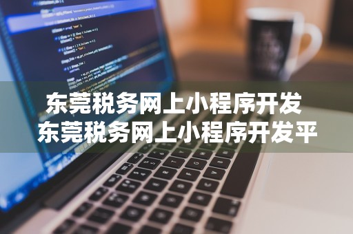 东莞税务网上小程序开发 东莞税务网上小程序开发平台