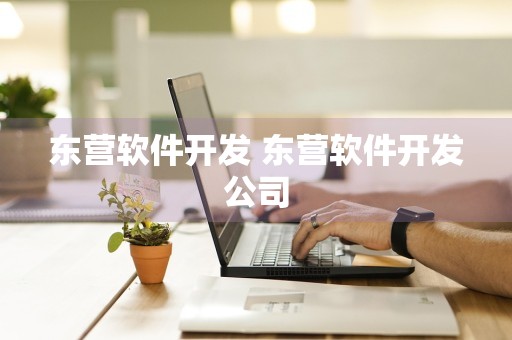 东营软件开发 东营软件开发公司