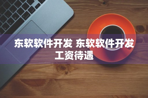 东软软件开发 东软软件开发工资待遇