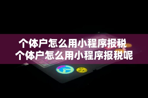 个体户怎么用小程序报税 个体户怎么用小程序报税呢