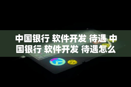 中国银行 软件开发 待遇 中国银行 软件开发 待遇怎么样