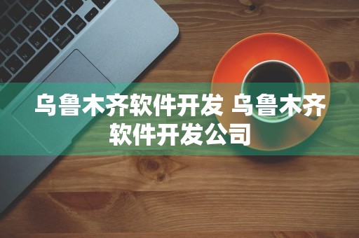 乌鲁木齐软件开发 乌鲁木齐软件开发公司