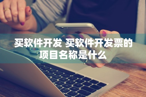 买软件开发 买软件开发票的项目名称是什么