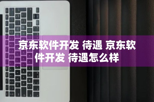 京东软件开发 待遇 京东软件开发 待遇怎么样