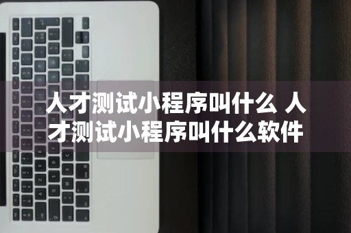 人才测试小程序叫什么 人才测试小程序叫什么软件