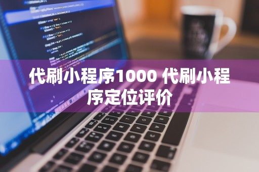 代刷小程序1000 代刷小程序定位评价