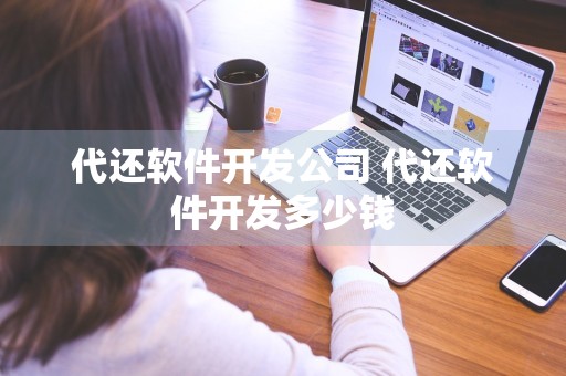 代还软件开发公司 代还软件开发多少钱