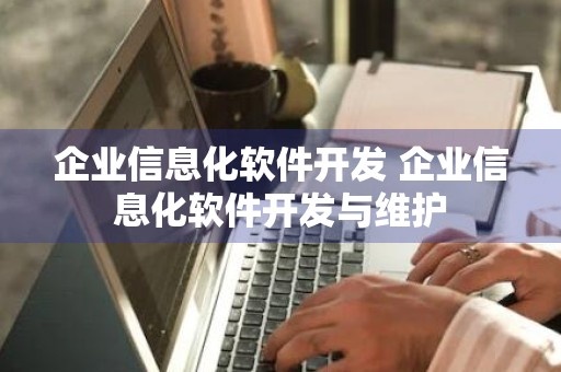 企业信息化软件开发 企业信息化软件开发与维护