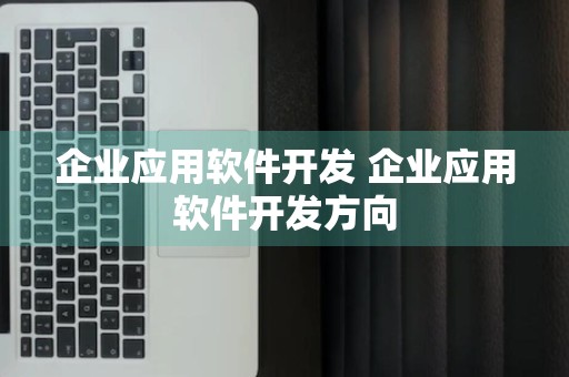 企业应用软件开发 企业应用软件开发方向