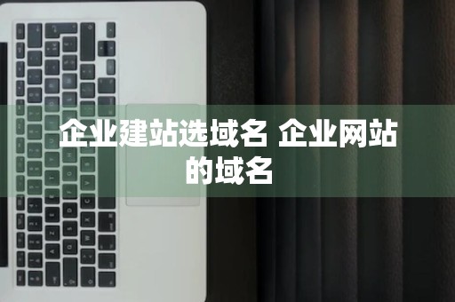 企业建站选域名 企业网站的域名