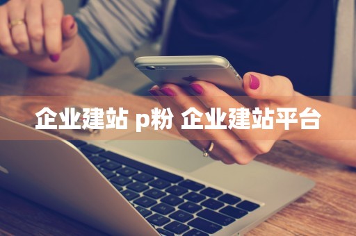 企业建站 p粉 企业建站平台