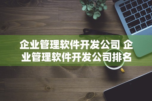 企业管理软件开发公司 企业管理软件开发公司排名