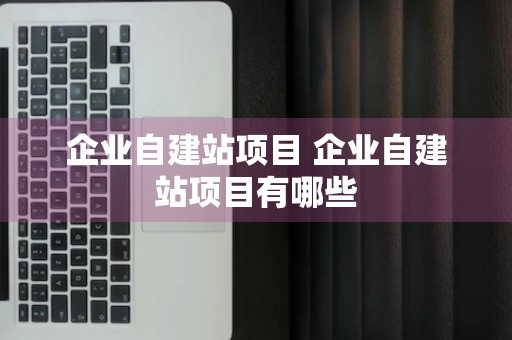 企业自建站项目 企业自建站项目有哪些