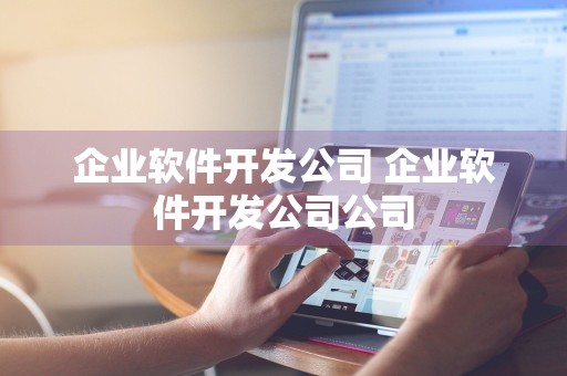 企业软件开发公司 企业软件开发公司公司