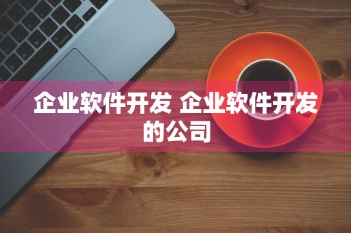 企业软件开发 企业软件开发的公司