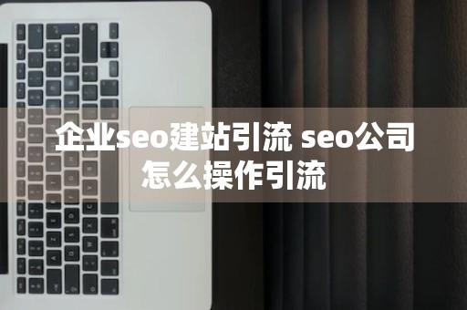 企业seo建站引流 seo公司怎么操作引流