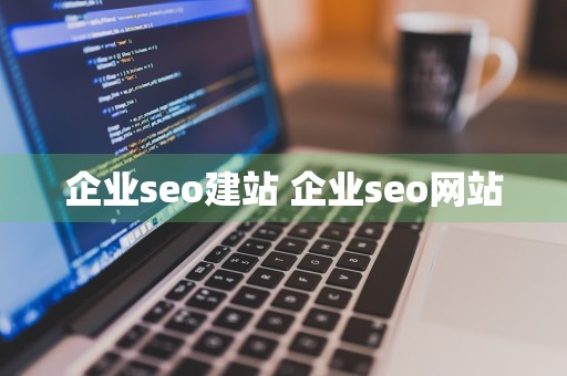 企业seo建站 企业seo网站