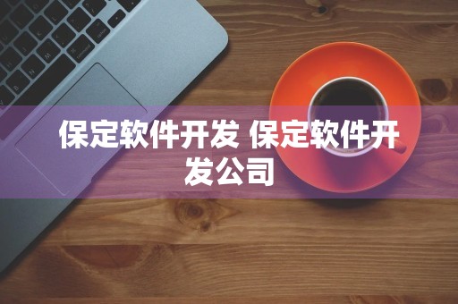 保定软件开发 保定软件开发公司