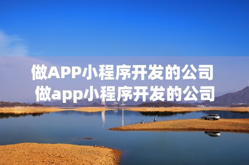 做APP小程序开发的公司 做app小程序开发的公司