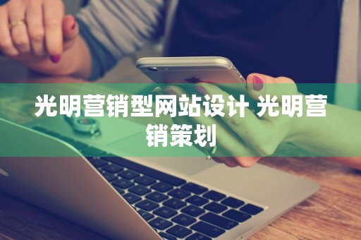 光明营销型网站设计 光明营销策划