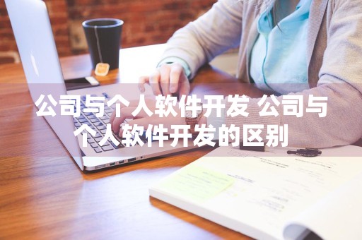 公司与个人软件开发 公司与个人软件开发的区别