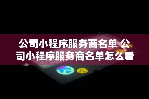 公司小程序服务商名单 公司小程序服务商名单怎么看