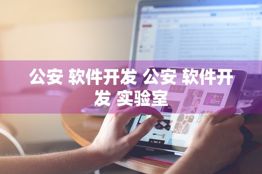 公安 软件开发 公安 软件开发 实验室