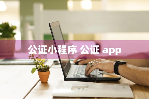 公证小程序 公证 app