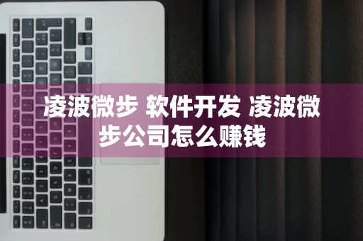 凌波微步 软件开发 凌波微步公司怎么赚钱